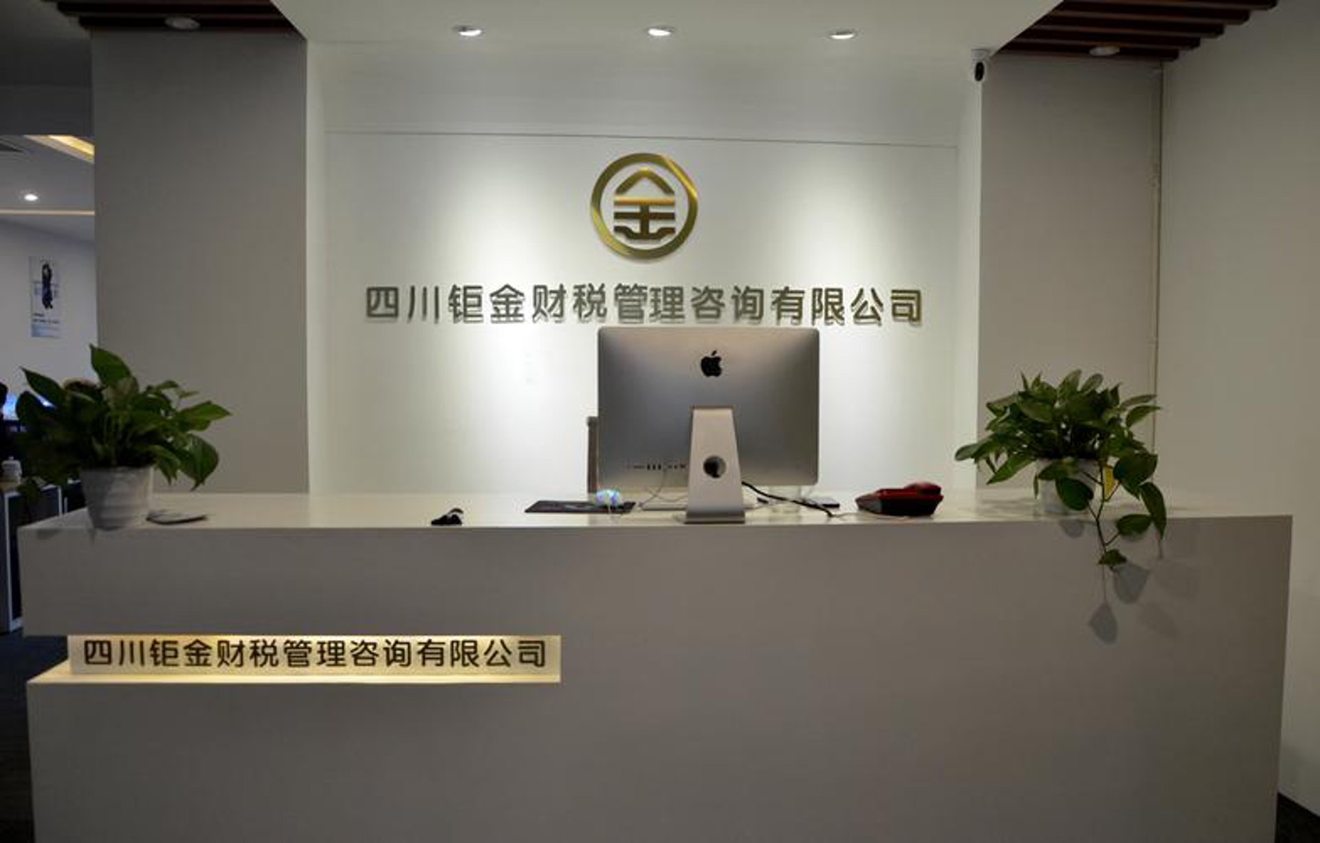 金导财税服务